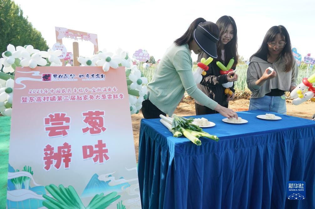 银河百家乐